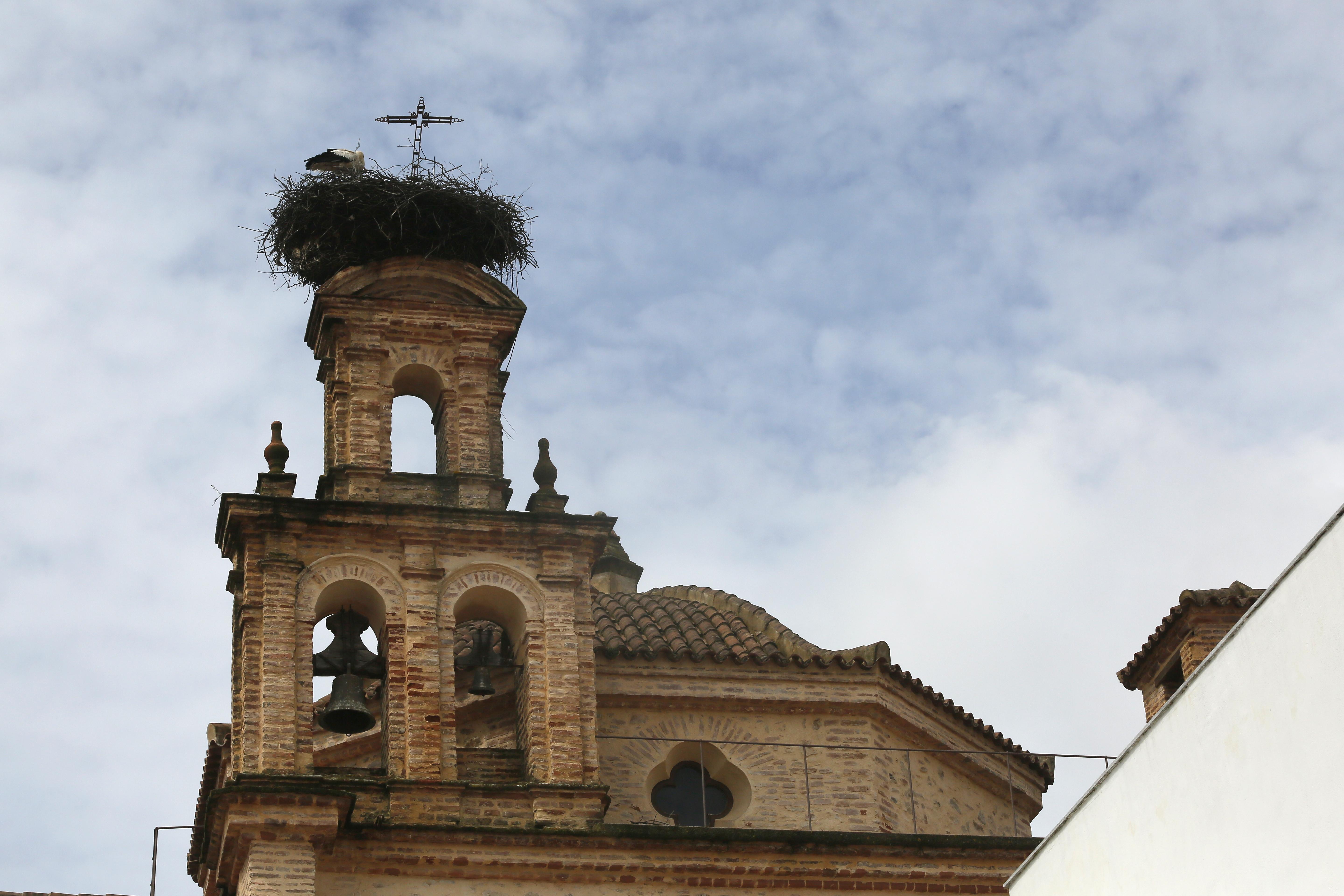 Hotel Convento Aracena & Spa Екстер'єр фото